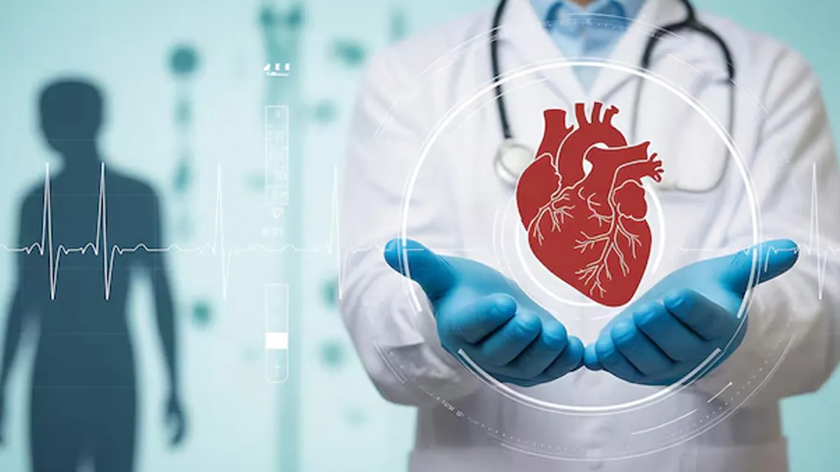 Why Does Belly Fat Increase The Risk Of Heart Disease