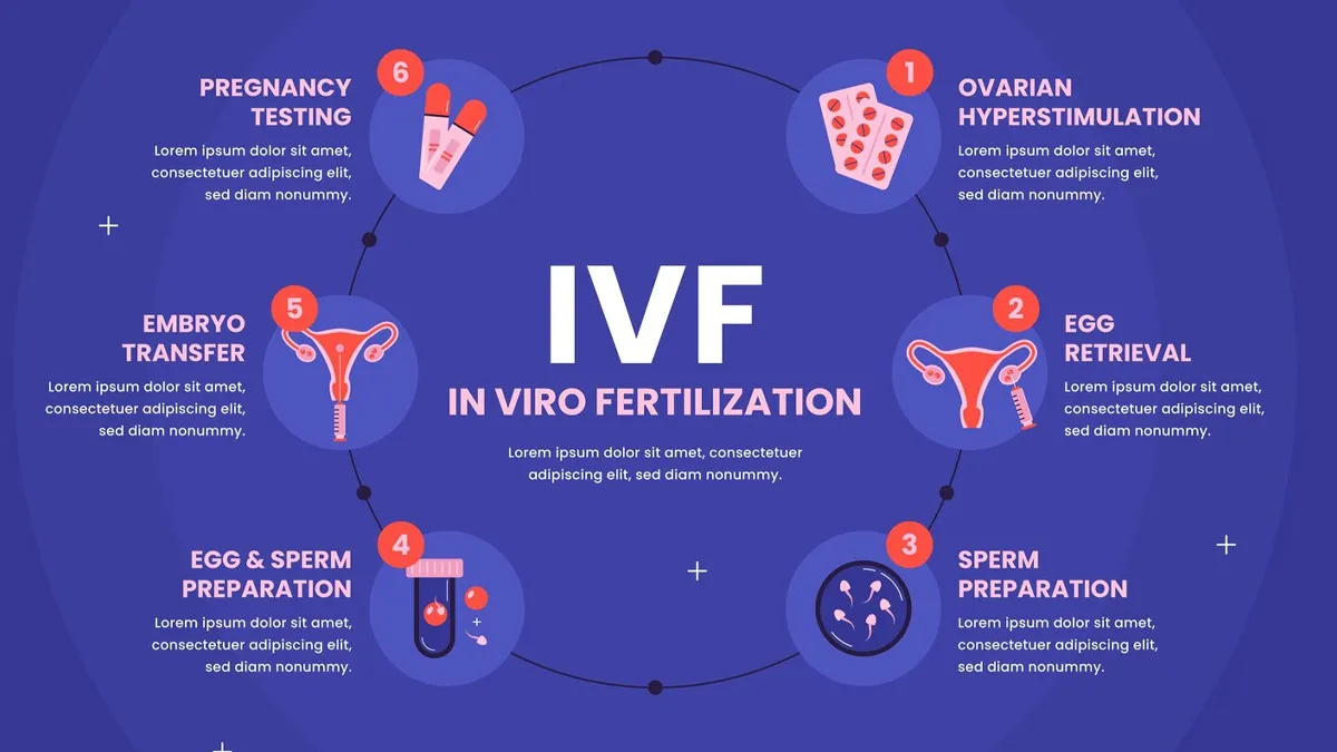 Why IVF Success Drop After Age 40