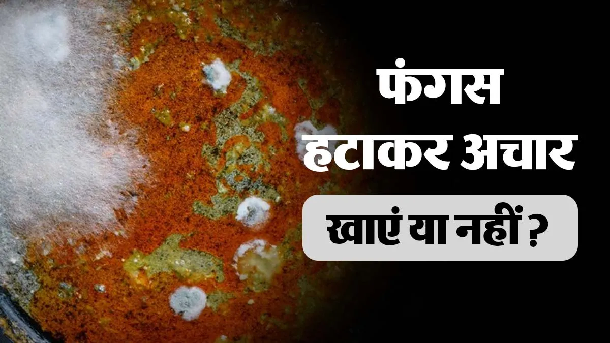 अचार या चटनी में फंगस दिखे तो ऊपर से हटाकर खाना सही? जानें एक्सपर्ट की सलाह