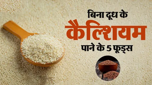 World Vegetarian Day 2026: दूध से है एलर्जी या पसंद नहीं? डायटिशियन से जानें कैल्शियम की कमी दूर करने वाले 5 बेहतरीन फूड्स