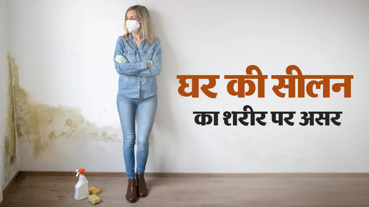 दीवारों पर सीलन और फंगस (Mold) से हो सकती है फेफड़ों की बीमारी? डॉक्टर से जानें कनेक्शन