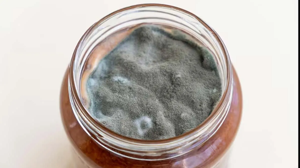 achar mai fungus