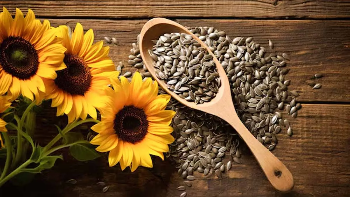 sunflower-seeds-benefits-for-skin