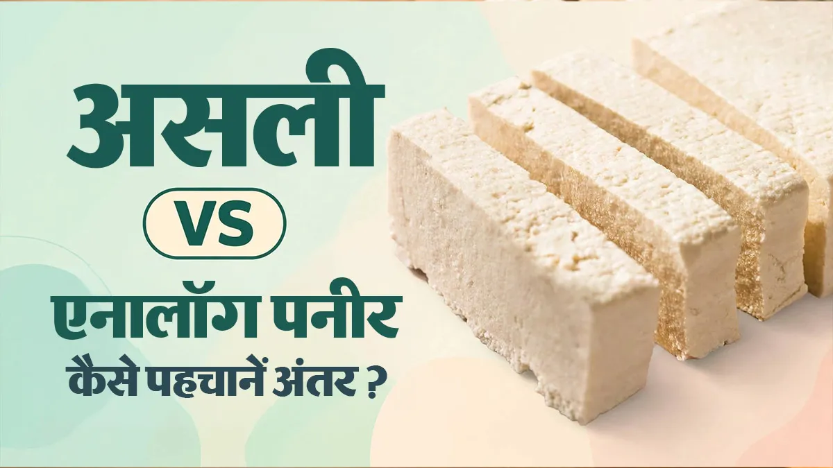 सस्ता पनीर असली है या एनालॉग? 3 आसान तरीकों से पहचानें असली और पाम ऑयल वाले नकली पनीर में अंतर