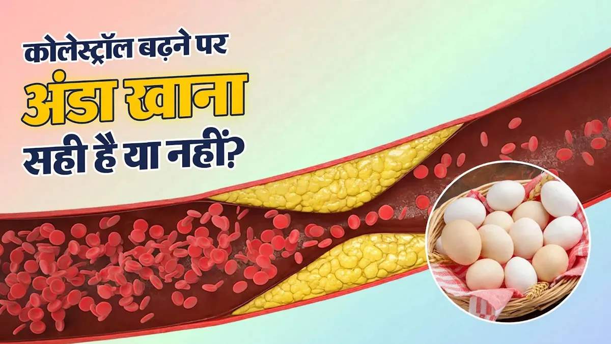 कोलेस्ट्रॉल बढ़ने पर अंडा खाना चाहिए या नहीं? जानें किस तरह करें डाइट में शामिल