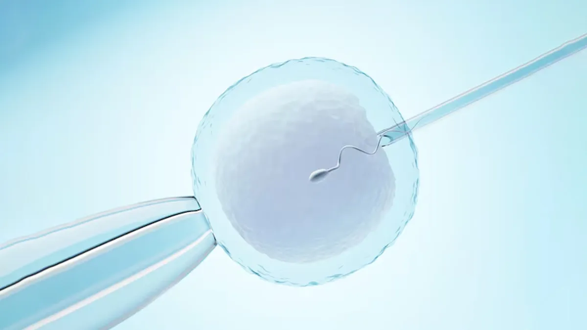 Can Stress Affect IVF Success