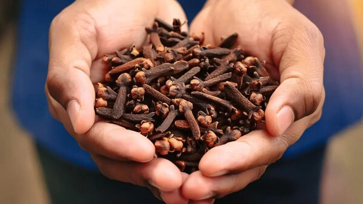 chewing cloves in diabetes