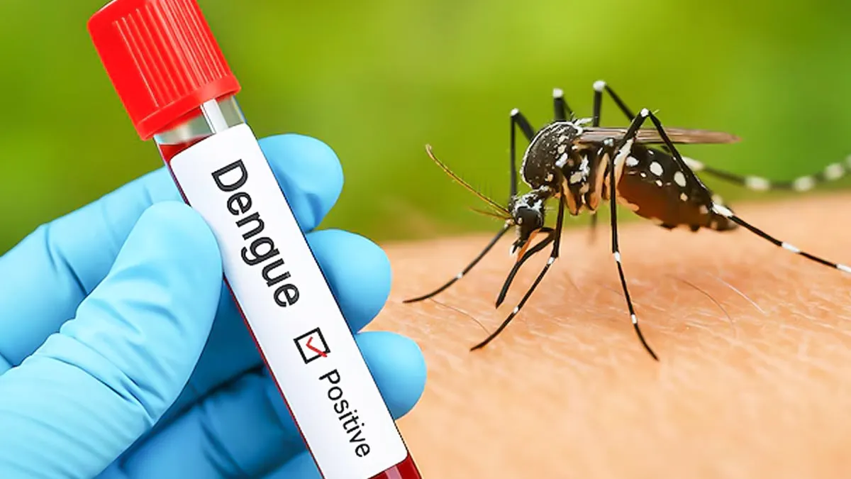 precautions after dengue