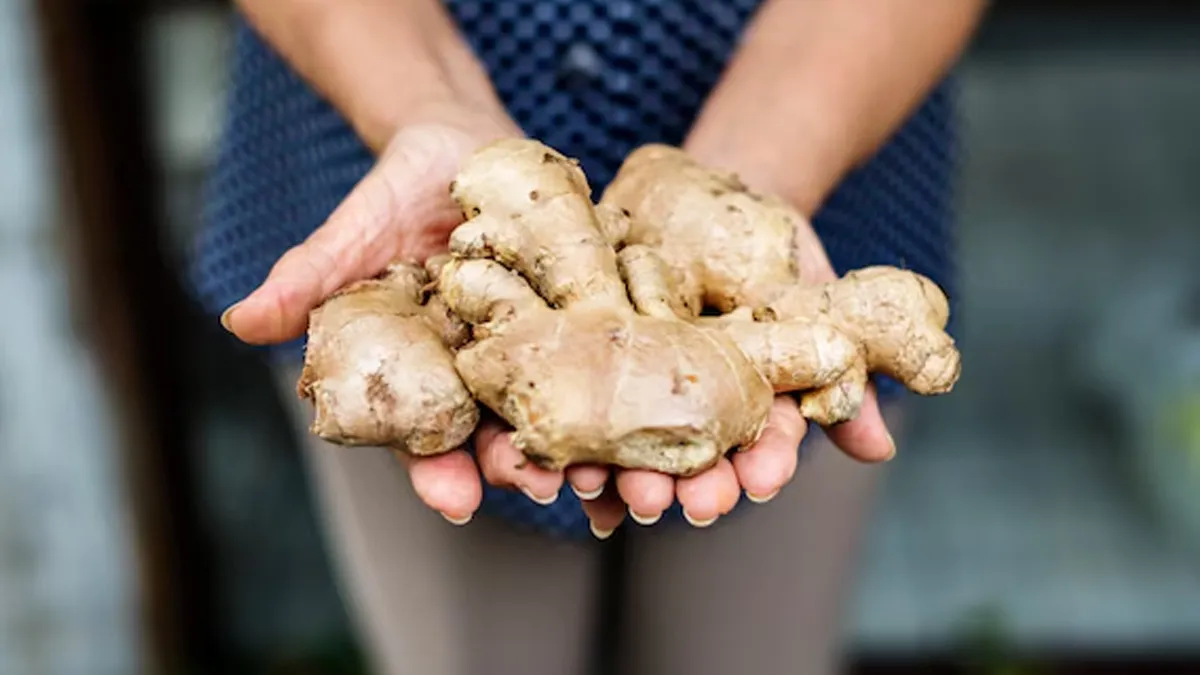 ginger for gas