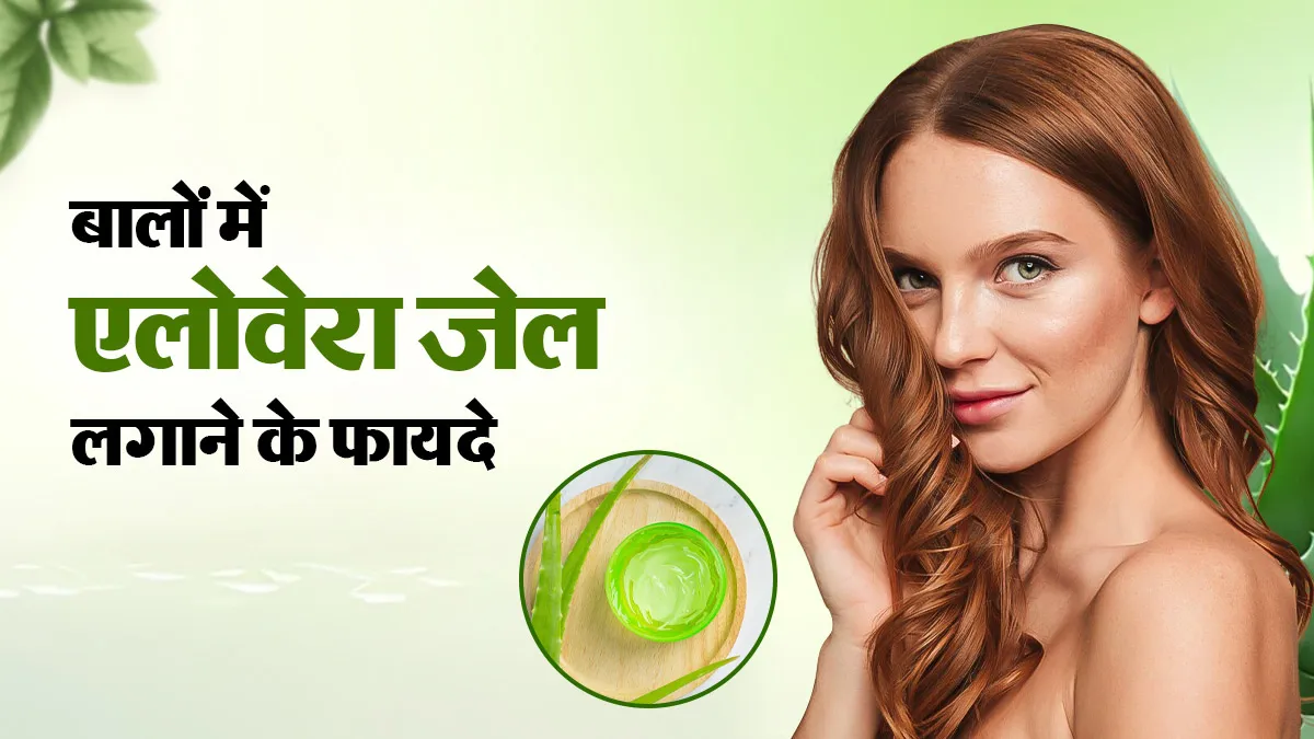बालों में एलोवेरा जेल लगाने से मिलते हैं ये 4 फायदे, डॉक्टर से जानें किसे इस्तेमाल नहीं करना चाहिए?