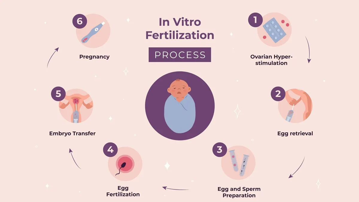 Embryo Transfer Done But No Pregnancy