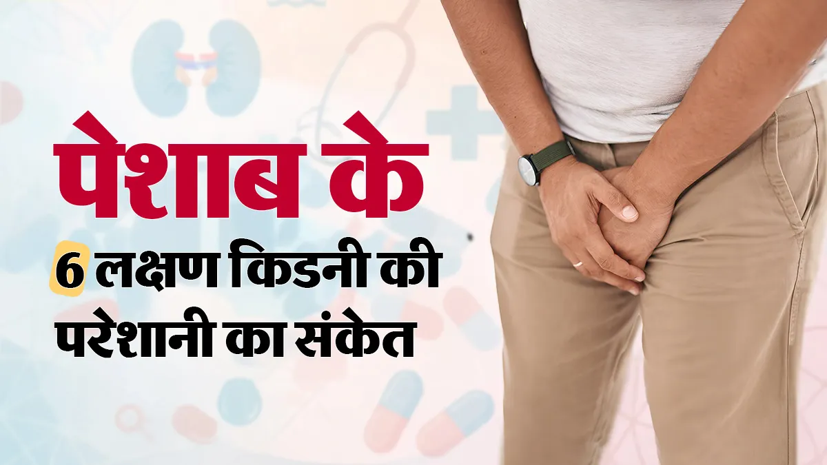 किडनी में खराबी होने पर पेशाब में दिख सकते हैं ये 6 बदलाव, डॉक्टर से जानें कब कराएं जांच?