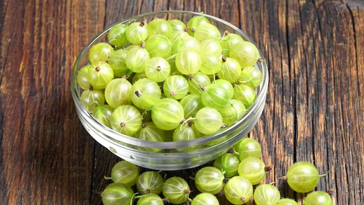 can-amla-cure-white-hair