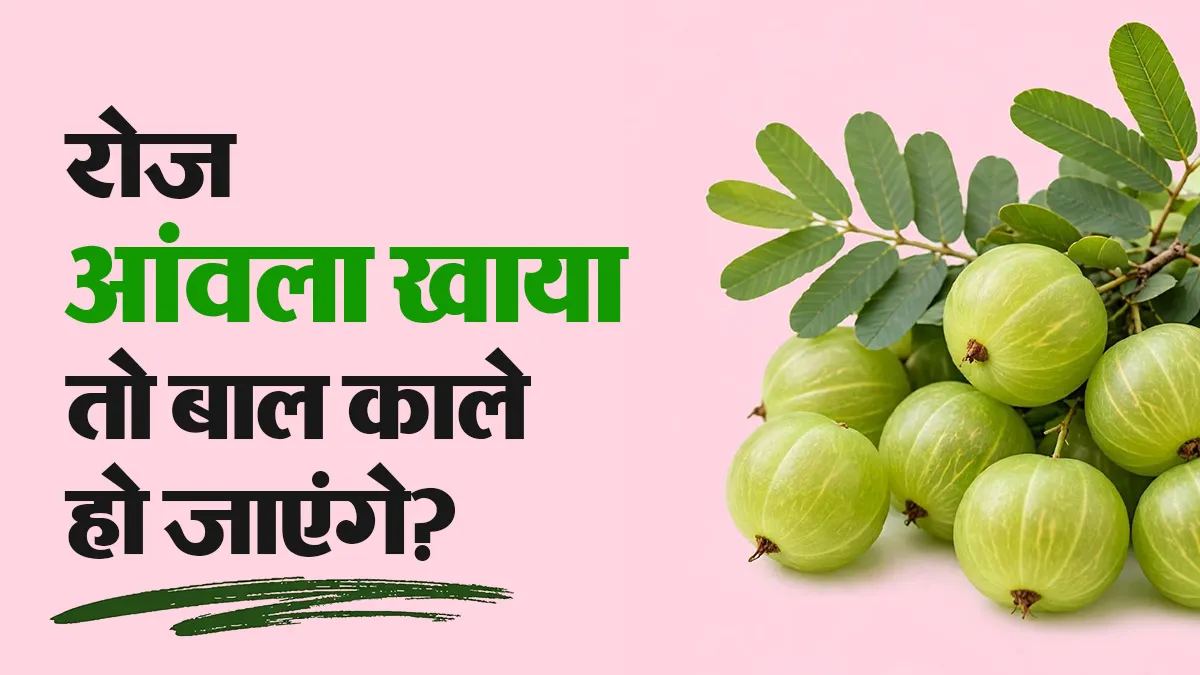 क्या रोज आंवला खाने से सफेद बाल फिर से काले हो सकते हैं? आयुर्वेदाचार्य से जानें सच
