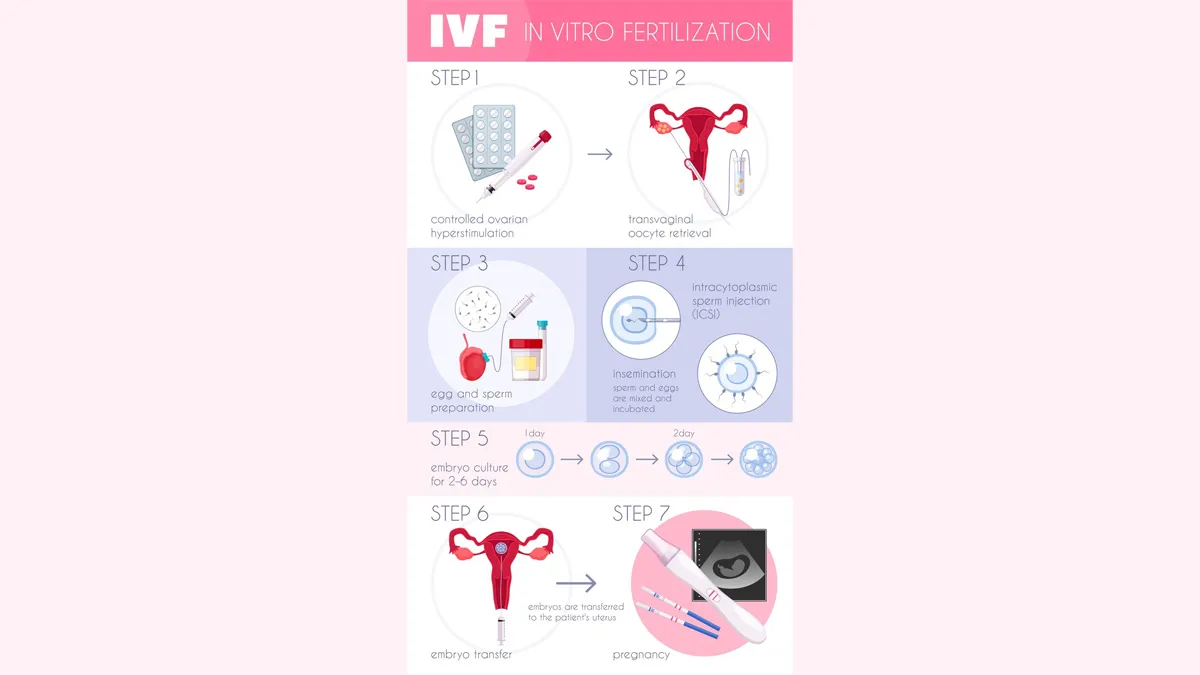 How Age Impacts IVF Success