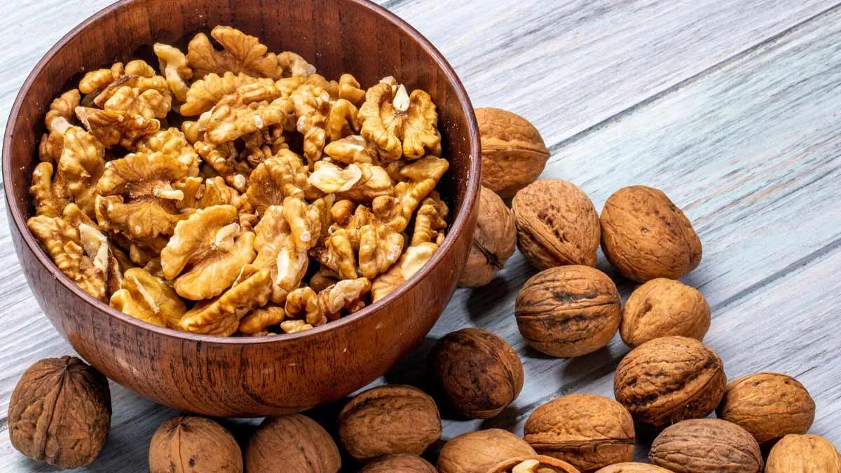 soaked walnuts vs normal walnut which one is healthier than expert opinion on daily consumption 1