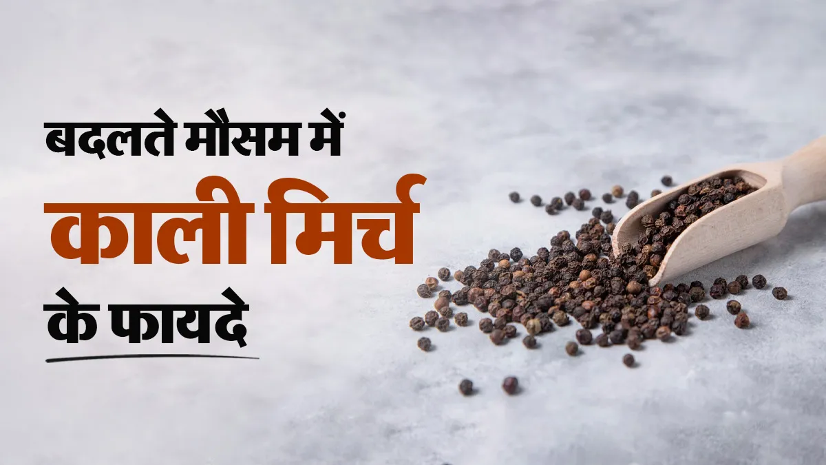 बदलते मौसम में काली मिर्च का सेवन करने के फायदे और इसका सेवन कैसे करें? डॉक्टर से जानें