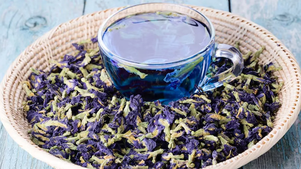 blue tea benefits