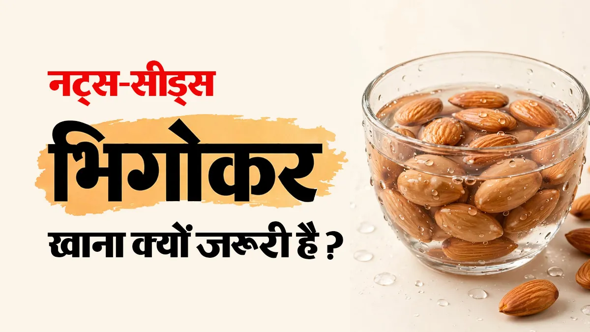 नट्स और सीड्स को खाने से पहले भिगोना क्यों जरूरी है? एक्सपर्ट से जानें कारण और सेवन का सही तरीका