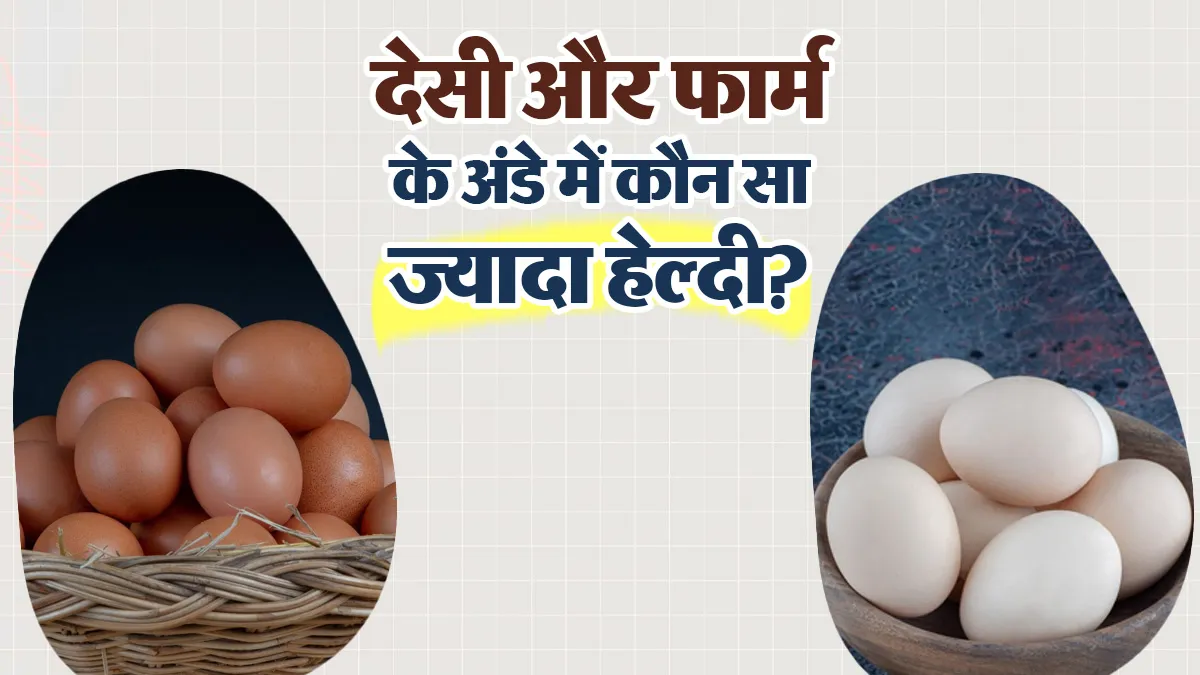 देसी अंडा या फार्म वाला अंडा: सेहत के लिए कौन सा ज्यादा बेहतर? डायटिशियन से जानें सच