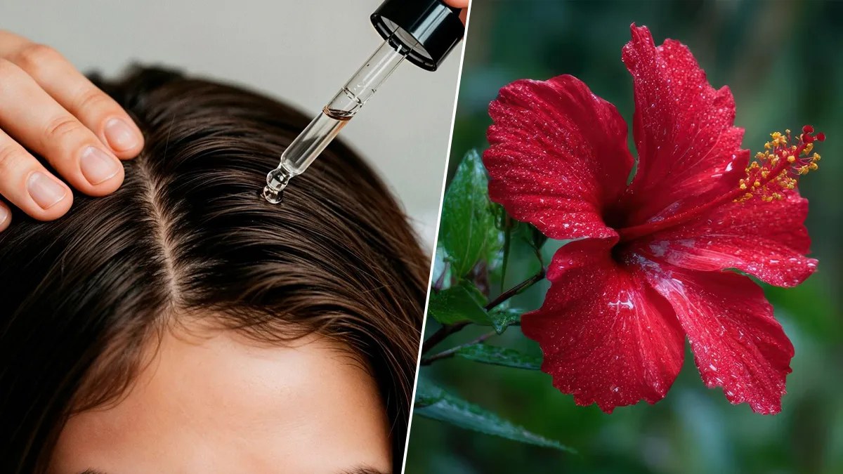 गुड़हल के फूल से बालों का सीरम कैसे बनाएं? जानें रेसिपी और फायदे