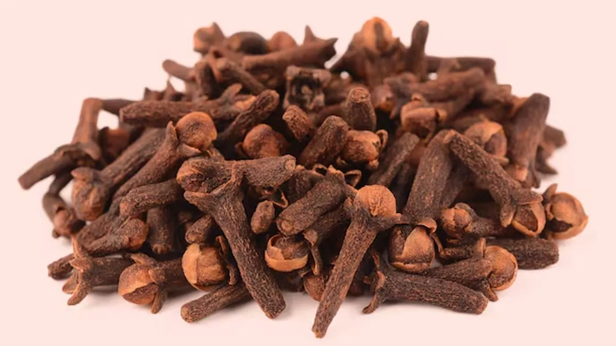 health benefits of chewing cloves for your oral hygiene and teeth 1