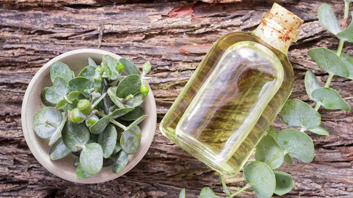 nilgiri-ka-tel-for-back-pain