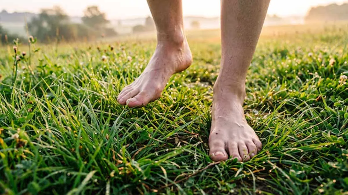 Risk-of-walking-barefoot-on-grass