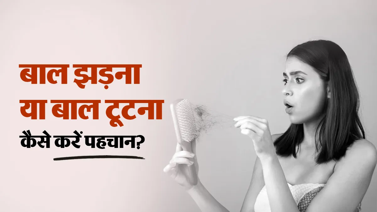 बाल झड़ रहे हैं या टूट रहे हैं? डॉक्टर से जानें कंघी में फंसे बालों के रूट से अंतर पहचानने का सही तरीका