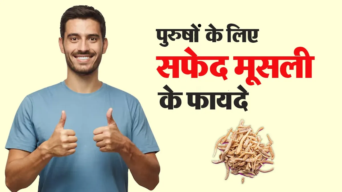 पुरुषों के लिए वरदान है सफेद मूसली, रोजाना सेवन से मिलेंगे ये 4 बड़े फायदे