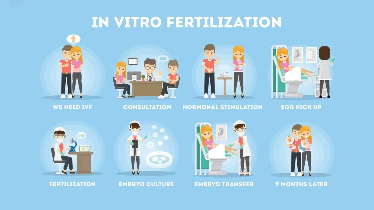 does next IVF Follow Same Pattern