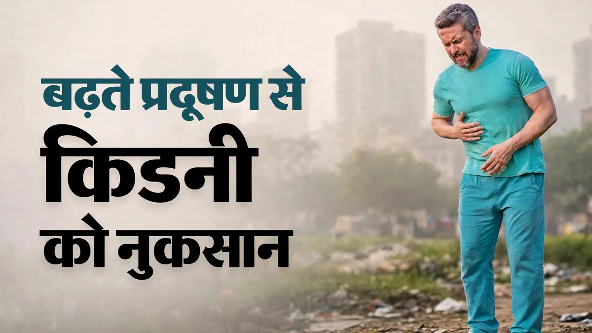 बढ़ता प्रदूषण फेफड़ों को ही नहीं, किडनी को भी पहुंचा सकता है नुकसान, डॉक्टर से जानें क्रोनिक किडनी (CKD) के मरीज कैसे रखें ख्याल?