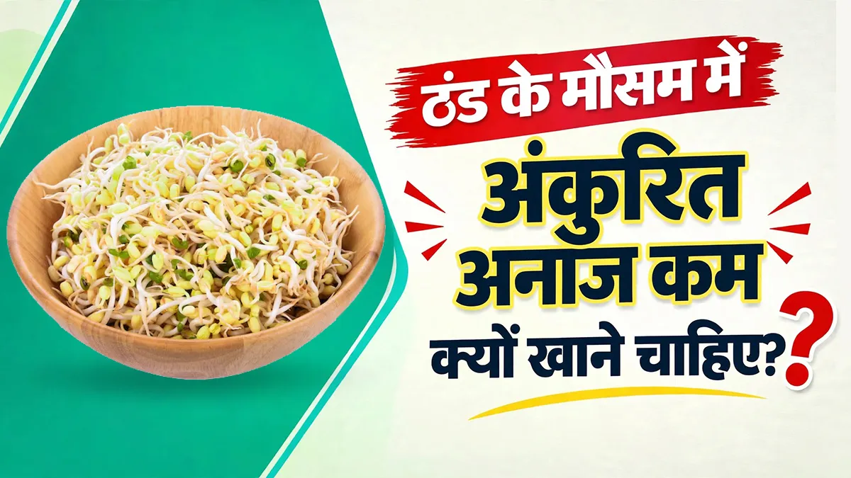 ठंड के मौसम में अंकुरित अनाज (Sprouts) क्यों कम खाने चाहिए? डॉक्टर से जानें