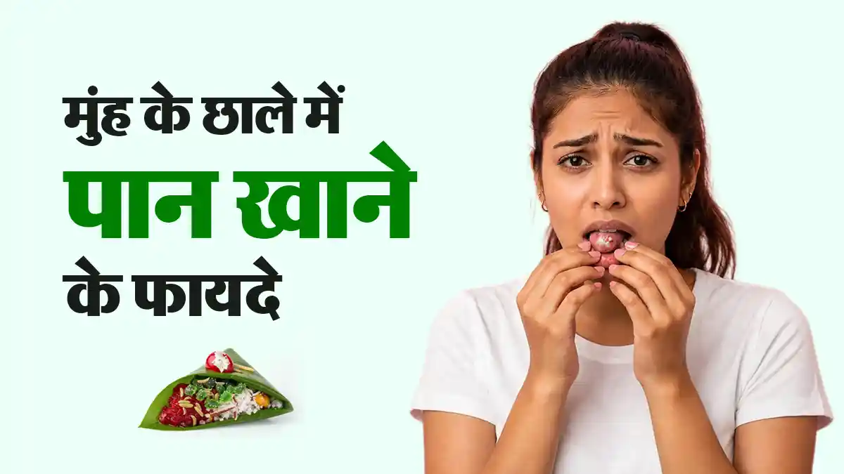 क्या पान खाने से मुंह के छाले ठीक होते हैं? आयुर्वेदिक एक्सपर्ट से जानें
