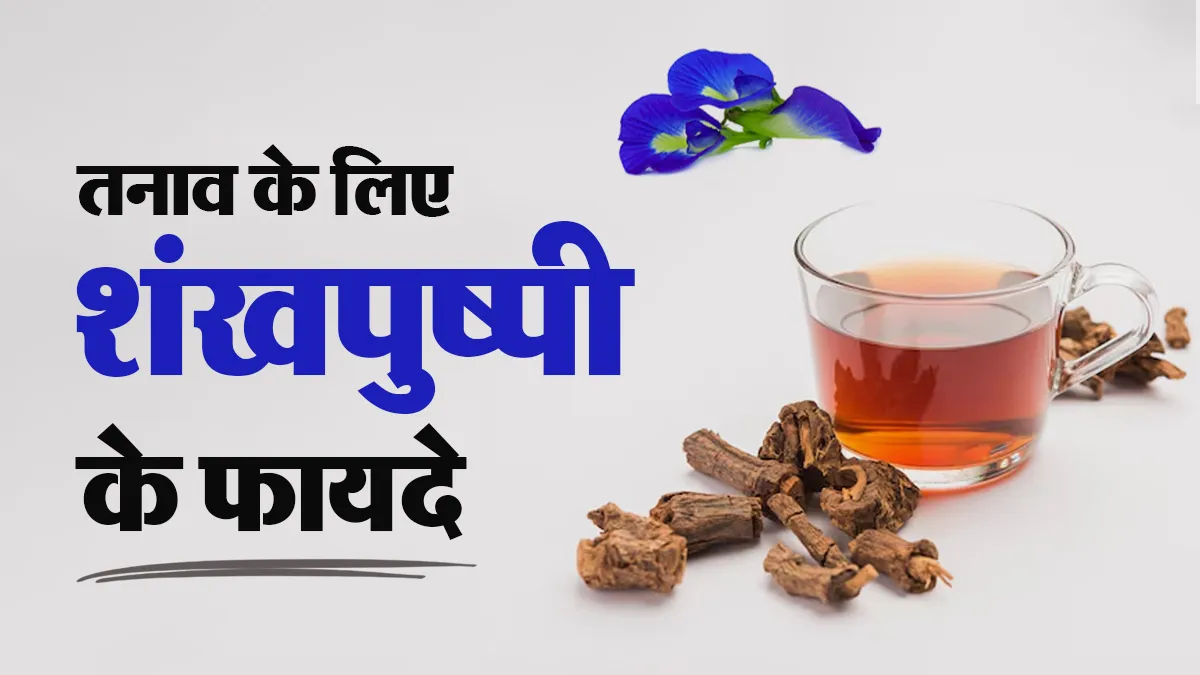 शंखपुष्पी लेने से दिमाग पर क्या असर होता है? जानिए स्ट्रेस में यह कितनी असरदार
