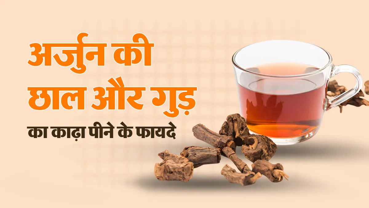 रोज सुबह अर्जुन की छाल और गुड़ का काढ़ा पीने से मिलते हैं ये 5 फायदे, जानें बनाने का तरीका