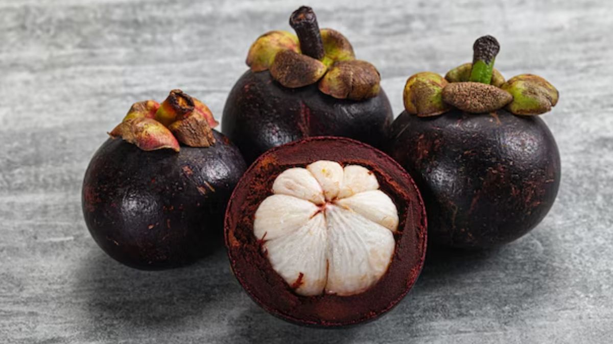 Benefits of Mangosteen fruits in tami