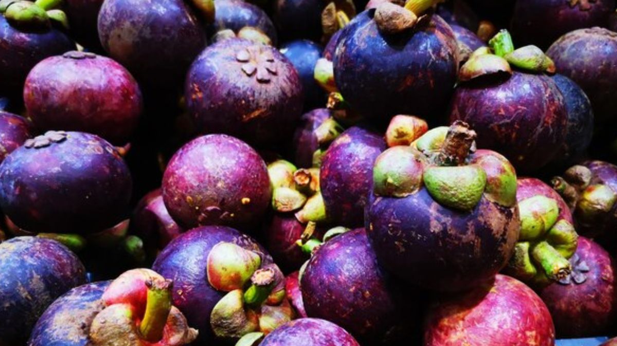 Nutritional value of Mangosteen in tamil