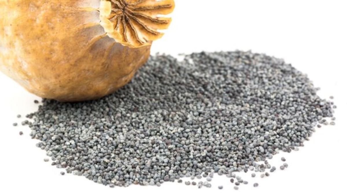 health benefits of poppy seeds