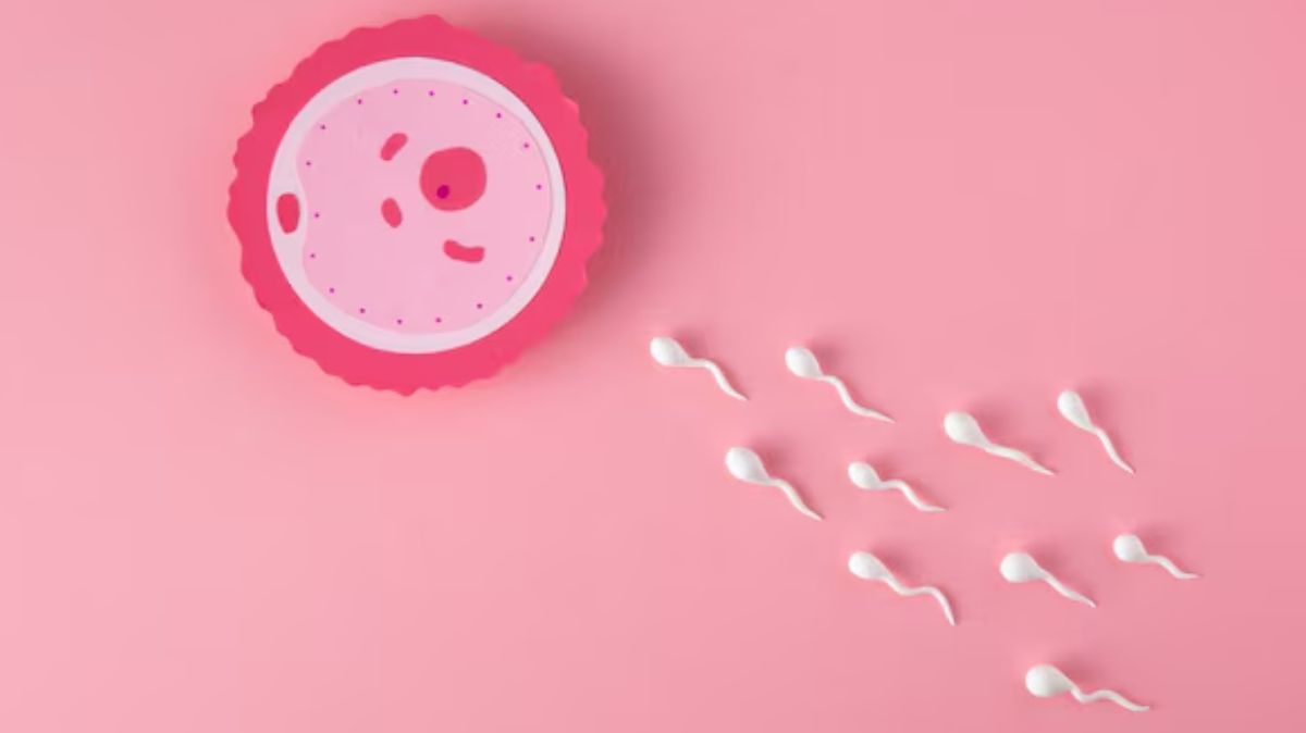 world fertility day 