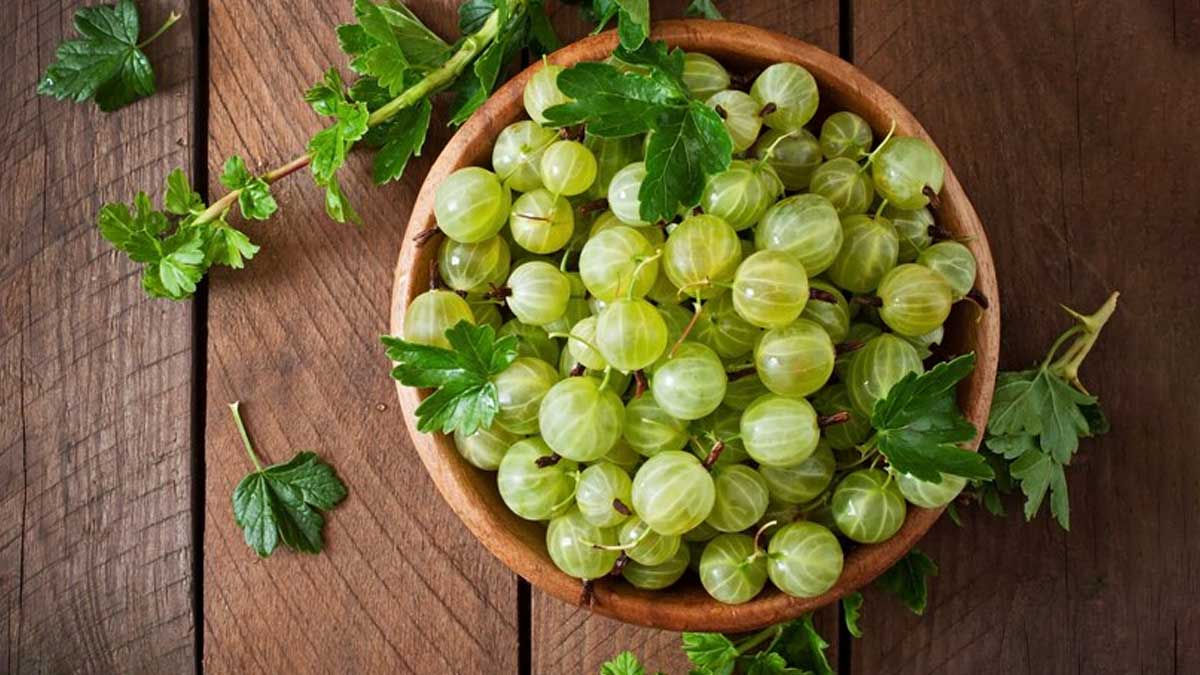 amla-benefit-health