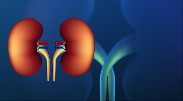 kidney-stone2