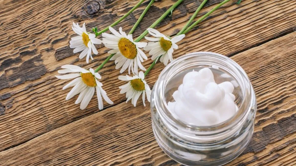 Chamomile for skin: பட்டு போன்ற சருமத்திற்கு கெமோமில் தரும் நன்மைகள்! எப்படி பயன்படுத்துவது?