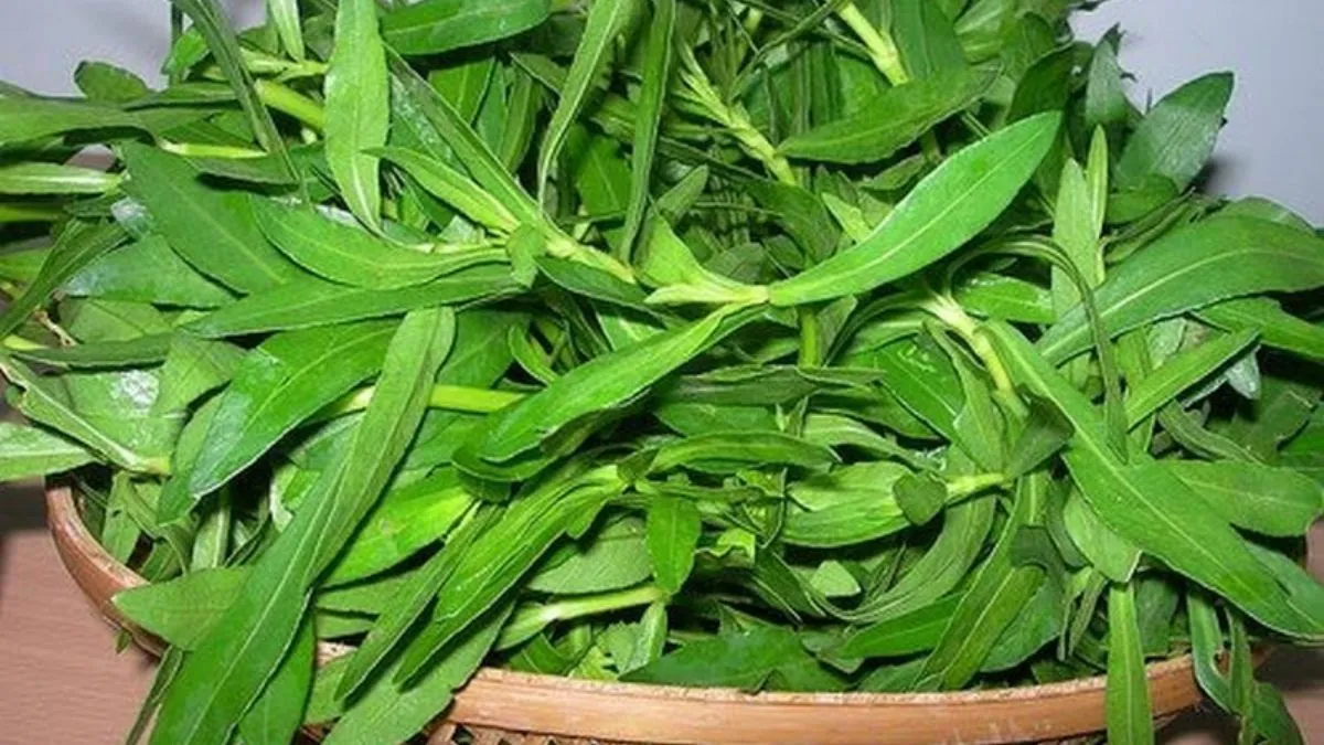 Ponnanganni keerai benefits: பொன்னாங்கண்ணி கீரை சாப்பிட்டா இந்த பிரச்சனைகளை தூரம் வைக்கலாம்