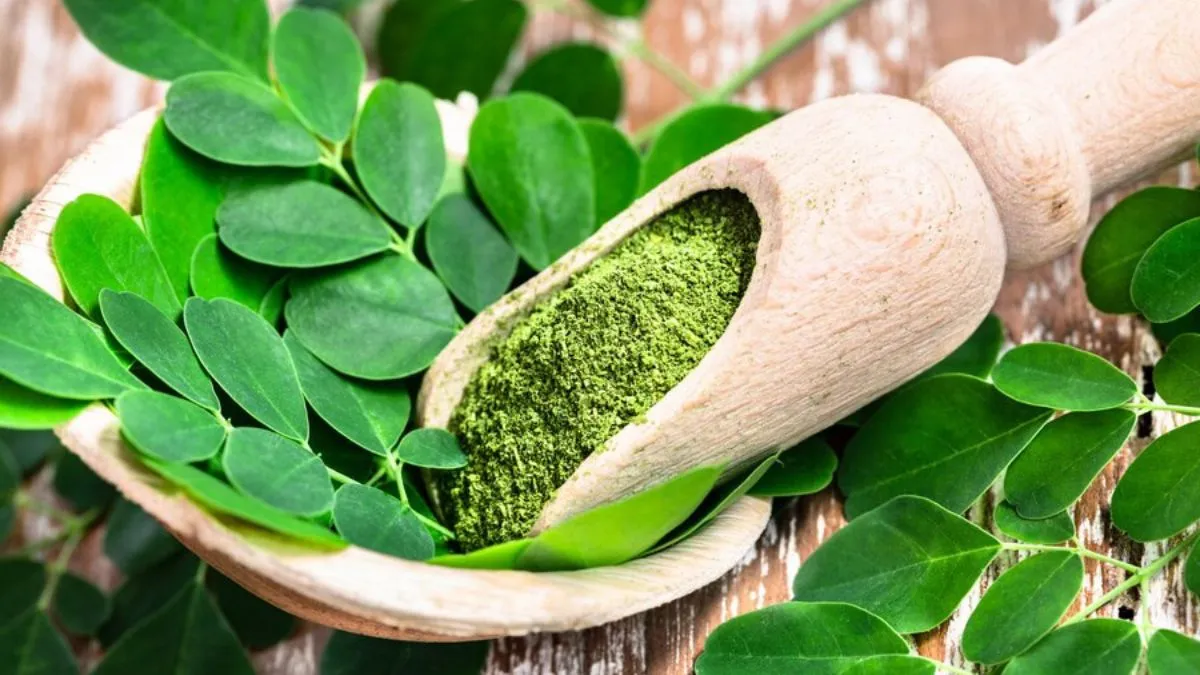 Moringa for hair growth: காடு மாறி முடி வளரணுமா? முருங்கையை இப்படி யூஸ் பண்ணி பாருங்க
