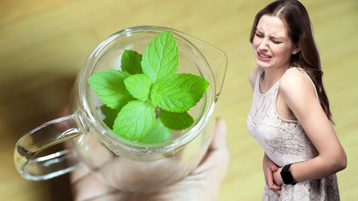 Peppermint for period cramps: மாதவிடாய் வலியை நொடியில் குணமாக்கும் பெப்பர்மின்ட்! எப்படி யூஸ் பண்ணலாம்