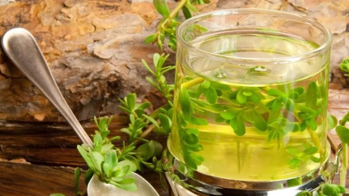 Brahmi tea benefits: ஒன்றா, இரண்டா பல நன்மைகளை அள்ளித்தரும் பிராமி டீ! இப்படி குடிச்சி பாருங்க