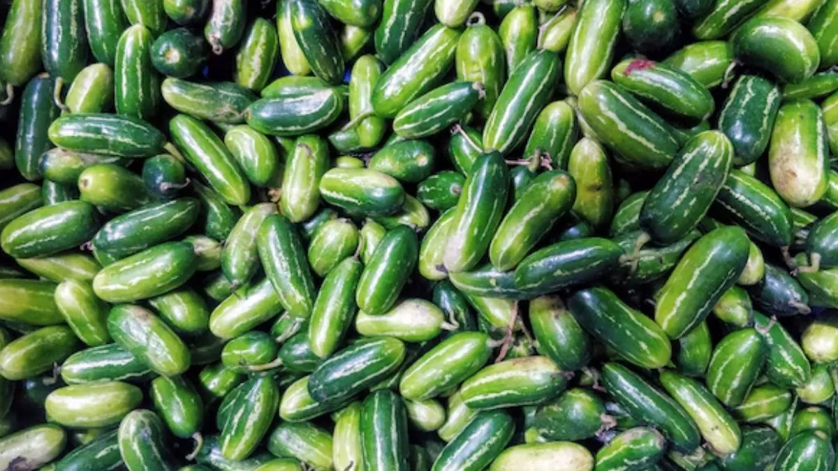 kovakkai benefits: எக்கச்சக்க நன்மைகள்.! குறிப்பாக கேன்சர்.. கோவக்காய் செய்யும் அற்புதங்கள் இங்கே..
