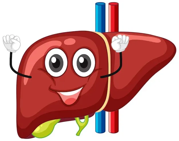 Liver Health: ஆயுர்வேத அற்புதம்; கல்லீரலைப் பாதுகாக்கும் 5 மூலிகைகள் !