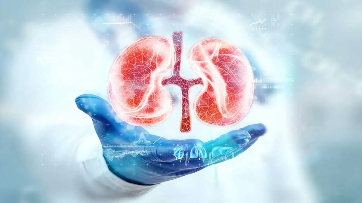 Kidney Health: சிறுநீரக ஆரோக்கியத்தை பாதிக்கும் 8 உணவுகள் எது தெரியுமா?